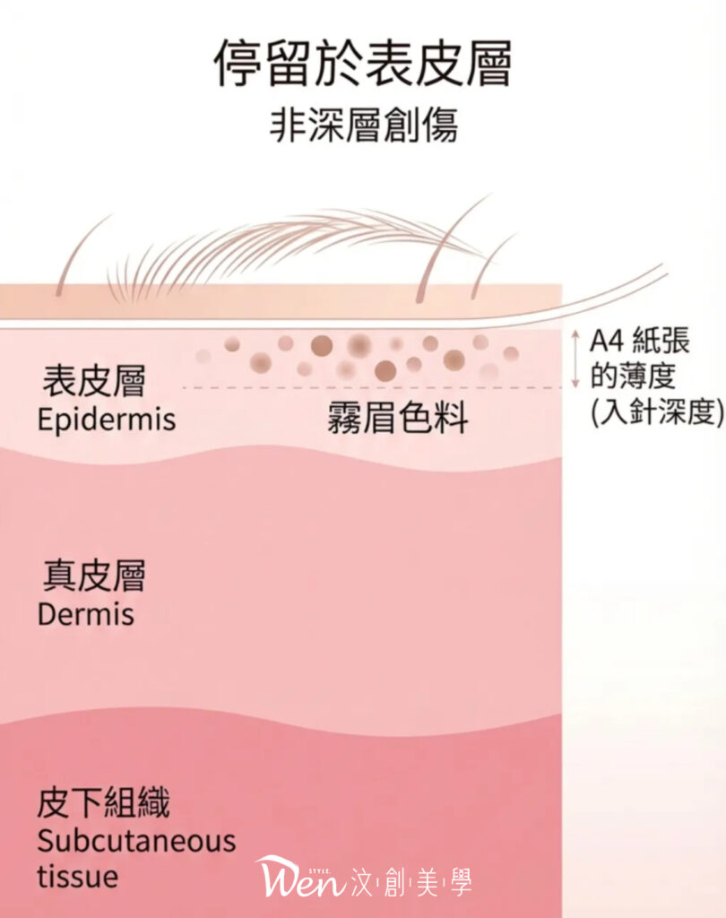 蟹足腫可以霧眉嗎